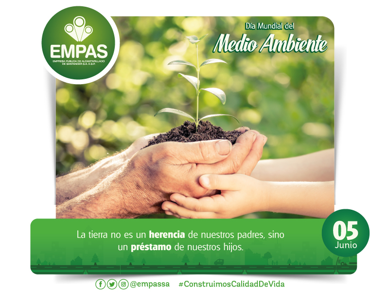 Día medio ambiente pagina